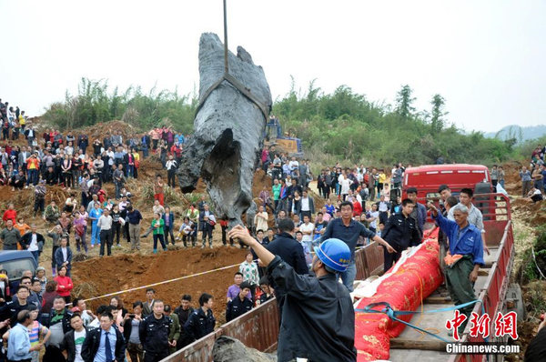 千年烏木重見天日-樹齡在4000年以上2