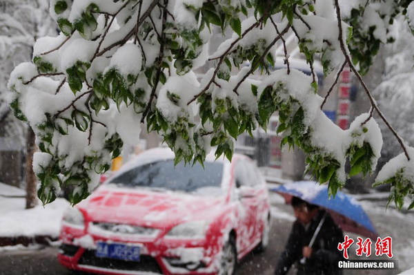 烏魯木齊四月飛雪-瞬間進入冬季模式5