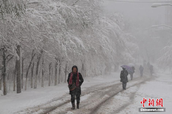 烏魯木齊四月飛雪-瞬間進入冬季模式4