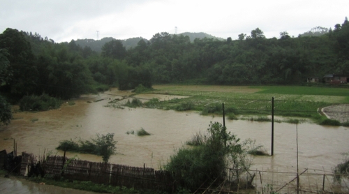 5月18日，在廣西昭平縣馬江鎮(zhèn)新興村，河水上漲淹沒部分農(nóng)田。