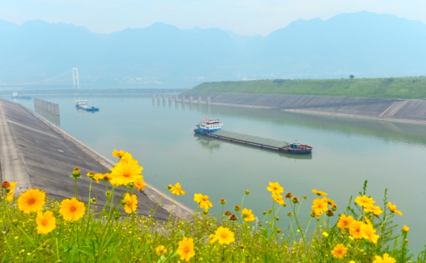 三峽水庫水位持續(xù)消落　五級(jí)船閘改為四級(jí)運(yùn)行4