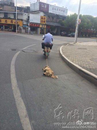 老人騎著電動車拖著小狗