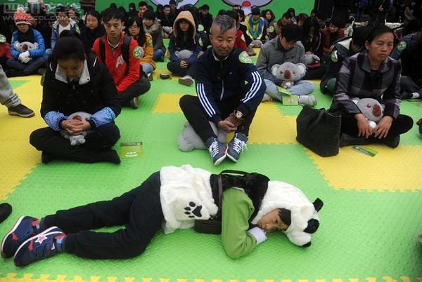 11月18日，首屆全國“發(fā)呆大賽”首站在成都寬窄巷子舉行。3