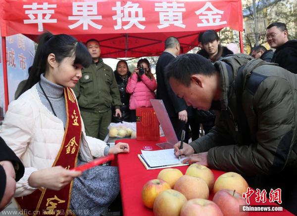 2014年12月23日，河南省鄭州市，在二七路一珠寶廣場(chǎng)，200多位市民排起了數(shù)十米長(zhǎng)隊(duì)，拿著蘋果等待換黃金。據(jù)介紹，為了迎圣誕節(jié)，凡持一對(duì)蘋果到當(dāng)?shù)匾恢閷毜?，即可免費(fèi)兌換迷你“招財(cái)金”小金條一個(gè)。圖為市民在排隊(duì)兌換。盧鍵 攝 圖片來(lái)源：東方IC 版權(quán)作品 請(qǐng)勿轉(zhuǎn)載