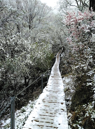 昨日中午，靈山上飄起小雪，至下午3點(diǎn)30分左右雪停。