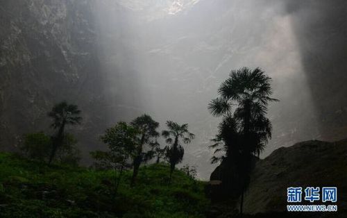 　5月19日，陽光照進(jìn)鑼圈巖天坑。