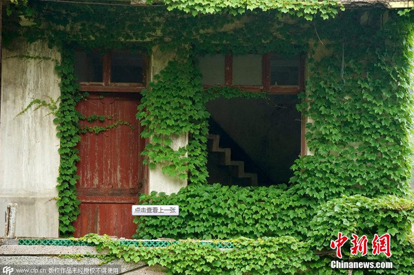 2015年5月31日，浙江舟山一個(gè)無人居住的荒村，村落荒蕪，許多無人居住的房屋逐漸被大自然侵蝕，布滿爬墻虎，宛如綠色童話世界。圖片來源：CFP視覺中國(guó)1