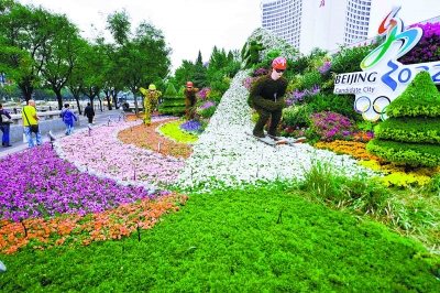 國(guó)慶 花壇