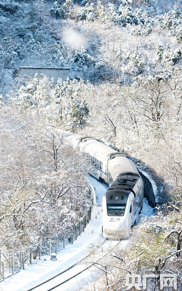 S2列車如一條銀蛇，穿梭于寂靜的深谷，沿途積雪千樹萬樹猶如梨花盛開，時(shí)間宛若凝固。