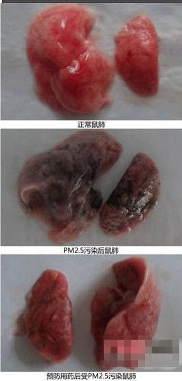 霧霾謠言大起底 你能識(shí)破多少個(gè)？