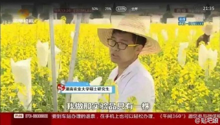 曝大學生實驗田油菜花被游客摘 或無法畢業(yè)(圖)