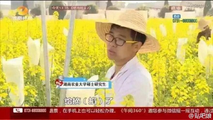 曝大學生實驗田油菜花被游客摘 或無法畢業(yè)(圖)