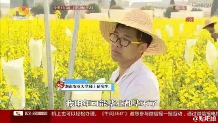 曝大學生實驗田油菜花被游客摘 或無法畢業(yè)(圖)