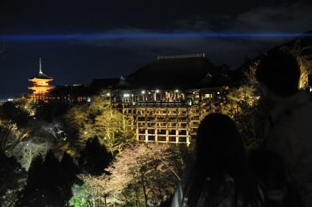 日本京都市的清水寺在春季夜間特別參觀正式開始之前進(jìn)行試亮燈，剛剛開放的櫻花與“清水舞臺”一同浮現(xiàn)在春天的夜色之中。