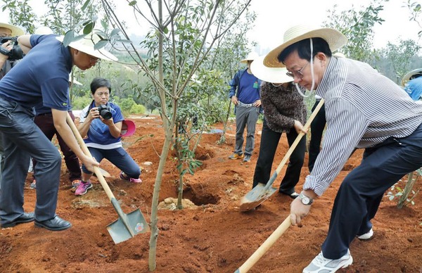 省市兩級政協(xié) 呈貢義務植樹