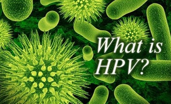 付虹：HPV感染會(huì)導(dǎo)致不孕需斥巨資治療？