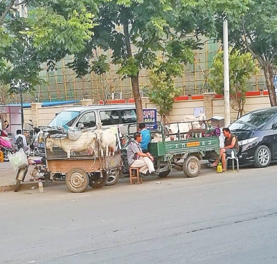 　街頭售賣新鮮羊奶的農(nóng)戶