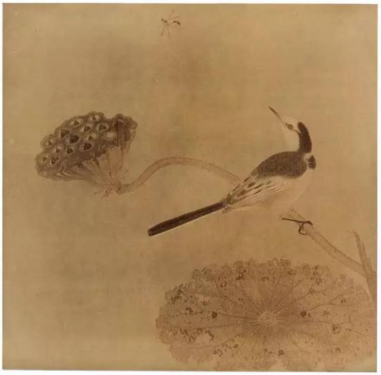 《疏荷沙鳥圖頁》 宋，絹本設(shè)色，縱25cm，橫25.6cm