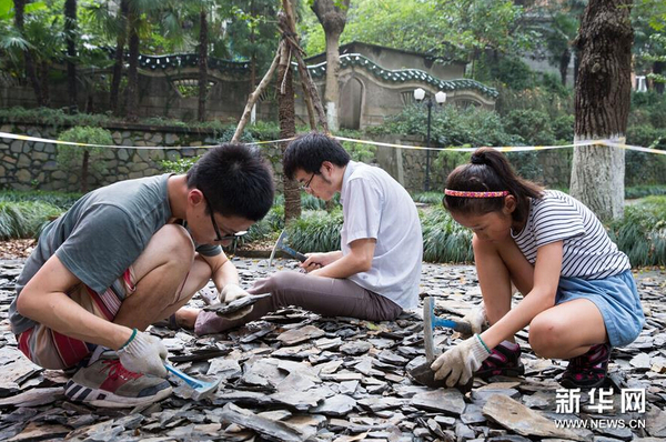 8月21日，市民在南京古生物博物館參加“砸化石”活動。1