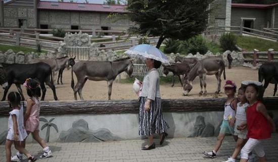 朝鮮平壤動物園里啥模樣？“狗屋”是最熱門景點