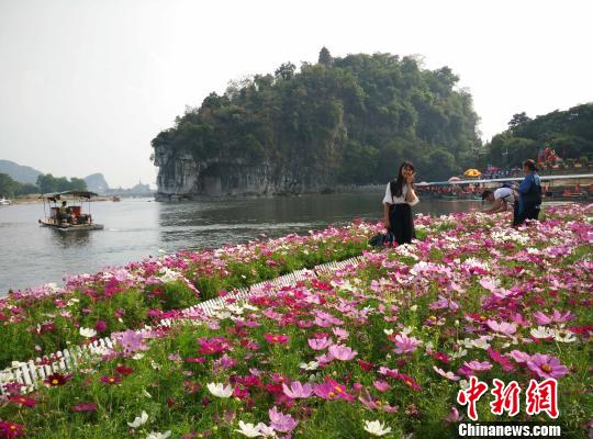 10月6日，游客在桂林城徽象山景區(qū)游玩。　歐惠蘭 攝