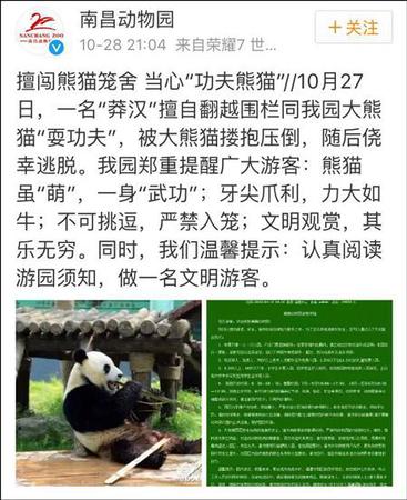 南昌動物園補充道，該男子逃離后未向園方反映情況，動物園檢查之后確認美靈沒有受傷或受到驚嚇。