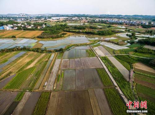 圖為航拍廣西柳州市柳北區(qū)沙塘鎮(zhèn)耕地，五彩繽紛。 黃威銘 攝