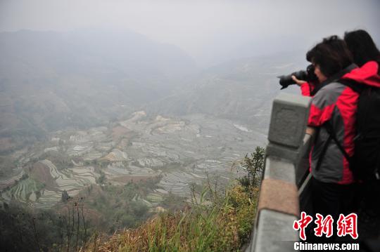 游客在哈尼梯田景區(qū)拍照。　劉冉陽 攝