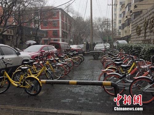 風雪中的共享單車。<a target='_blank' href='http://www.chinanews.com/' >中新網(wǎng)</a> 吳濤 攝