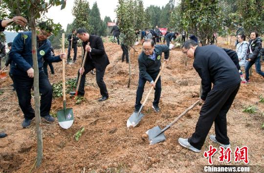 四川綿陽設(shè)立以大熊貓保護等為目標的公募專項基金