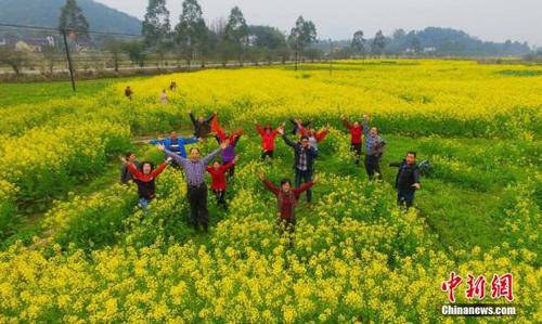 2月14日，廣西柳州市融安縣大良鎮(zhèn)和南村的油菜花花開正盛。在農(nóng)業(yè)部門的指導(dǎo)下，當(dāng)?shù)剞r(nóng)民在油菜花田里種出“稻油油增收夢(mèng)”字樣，吸引了不少游客前來旅游觀光。該縣摸索出一套“稻油油”(水稻+油葵+油菜)模式，在提高農(nóng)田的使用率的同時(shí)，發(fā)展生態(tài)農(nóng)業(yè)觀光旅游，促進(jìn)農(nóng)民增收。譚凱興 攝