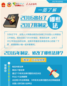 一圖了解2016出臺(tái)了哪些法，2017將制定哪些法