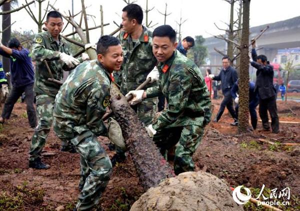 海警官兵植樹節(jié)種下“廣州市花”表達軍民魚水情