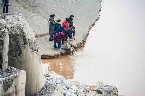 圖為十多名市民從市場上買來鯉魚在放生。