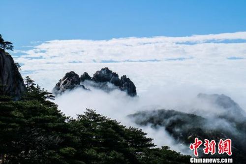  9日，安徽黃山風(fēng)景區(qū)經(jīng)過昨夜雷雨天氣的洗禮，云海、佛光等壯麗風(fēng)景展現(xiàn)在游客們的眼前。　李金剛 攝