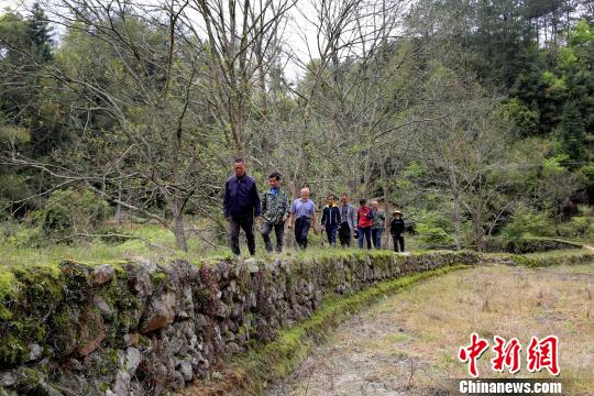 江西修水現(xiàn)300多年歷史防洪堤客家移民所筑至今完好