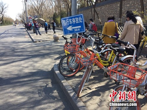 共享單車越來越多，出現(xiàn)在大街小巷。<a target='_blank' href='http://www.chinanews.com/' >中新網(wǎng)</a> 吳濤 攝