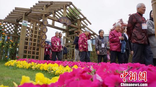 圖為出席揚(yáng)州市民日“百壽宴”的老人們游覽城市新貌。　崔佳明 攝