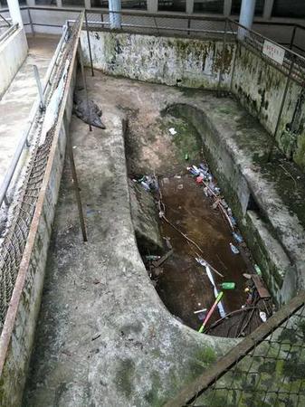 海口動物園成煉獄