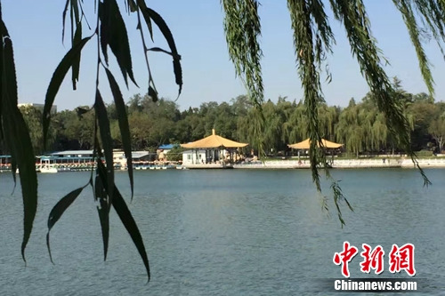 今年4月，北京陶然亭公園內春意盎然。<a target='_blank' href='http://www.chinanews.com/' >中新網</a> 種卿 攝