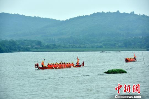 資料圖：江南水鄉(xiāng)端午節(jié)前龍舟“發(fā)船” 祈風(fēng)調(diào)雨順。龍舟在湖中辟波斬浪?！∪f朝暉 攝