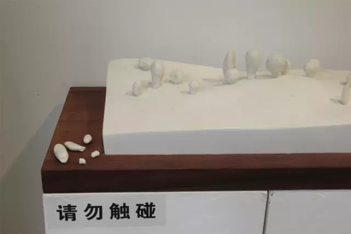 畢業(yè)展作品被盜皮皮蝦也遭殃 學(xué)生貼26個勿觸碰