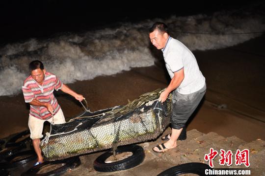 臺(tái)風(fēng)“苗柏”在深圳大鵬半島登陸