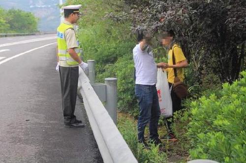 男子去年高速路停車(chē)摘李子被罰 今年徒步來(lái)摘再次被逮