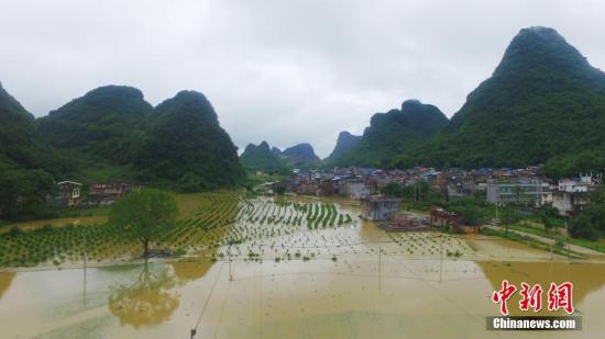 資料圖：廣西融安縣泗頂鎮(zhèn)儒南村拍攝被洪水淹沒(méi)的農(nóng)田。譚凱興 攝