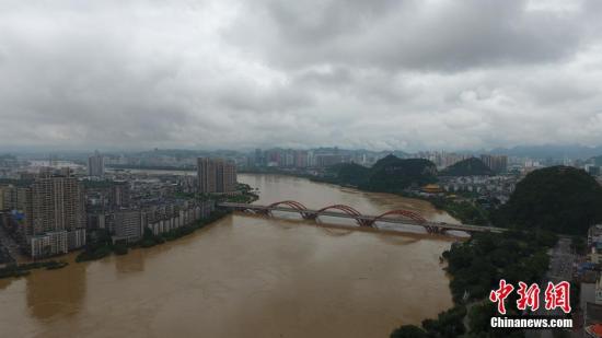 資料圖：7月3日，因受連日暴雨影響，廣西柳江河柳州段出現(xiàn)超警戒水位。 王以照 攝