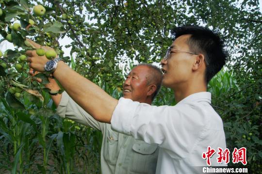 到2016年10月底，梁磊公司已累計(jì)向貧困戶果農(nóng)收購(gòu)海紅果2700噸?！⊥醣筇?攝