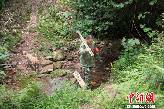 護(hù)林如愛(ài)家四川敘永退伍老兵守護(hù)山林15年如一日