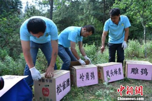 資料圖：云南省野生動(dòng)物收容拯救中心工作人員準(zhǔn)備放歸野生動(dòng)物?！∪螙| 攝