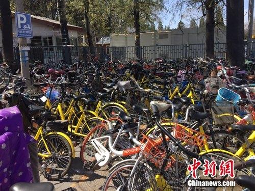 資料圖：頤和園附近的一處停車點堆滿共享單車。<a target='_blank' href='http://www.chinanews.com/' >中新網</a> 吳濤 攝